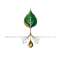 HERB O MEDIC (2)